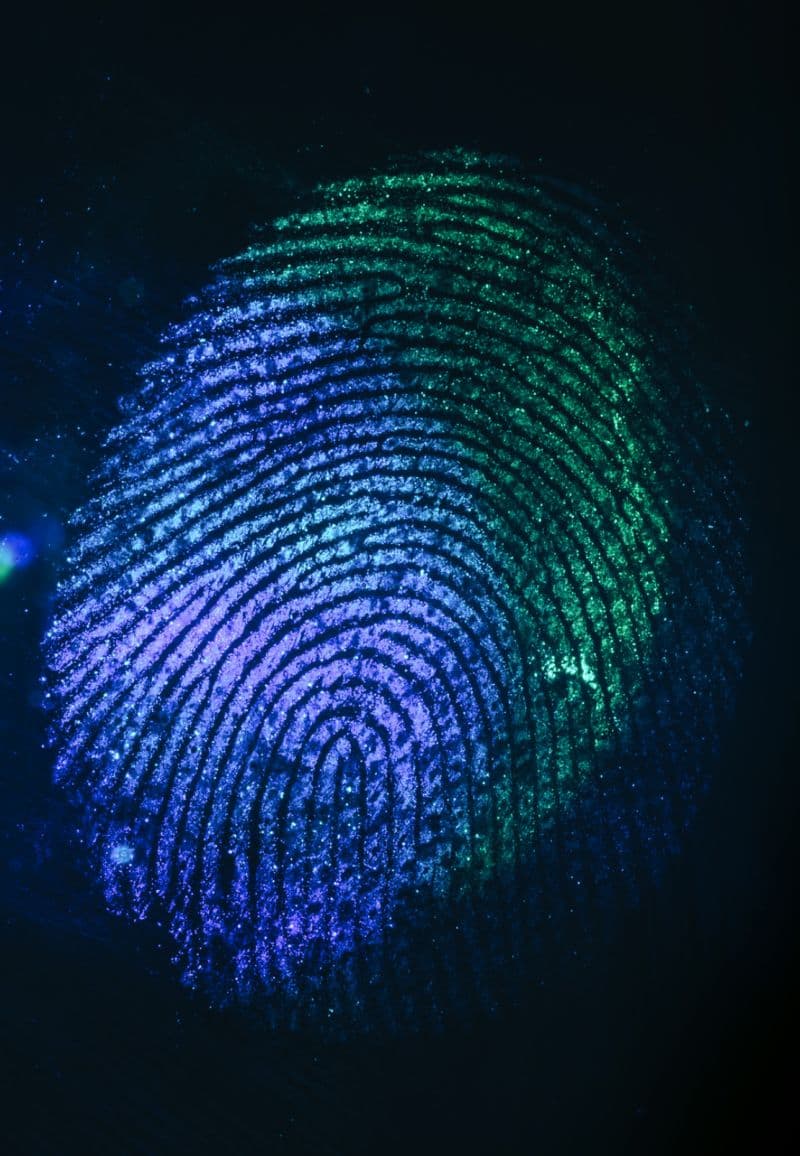 Forensic Identification