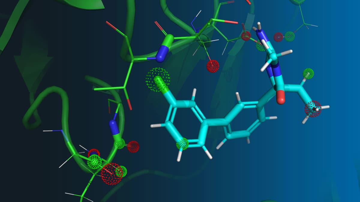 Drug Discovery and Development